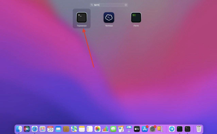 Скриншот: поиск терминала на MacOS